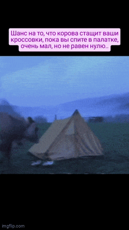 Daily Gifdump Daily Gifdump