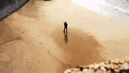 Daily Gifdump Daily Gifdump