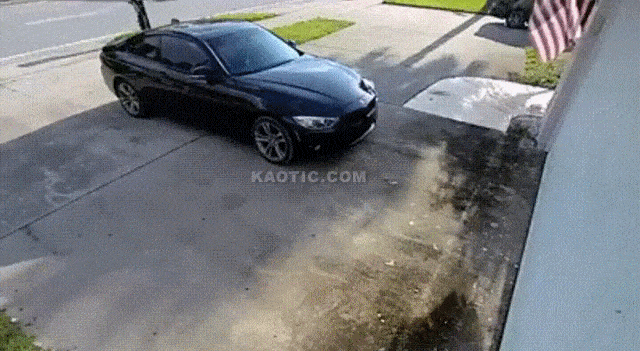 Daily Gifdump Daily Gifdump