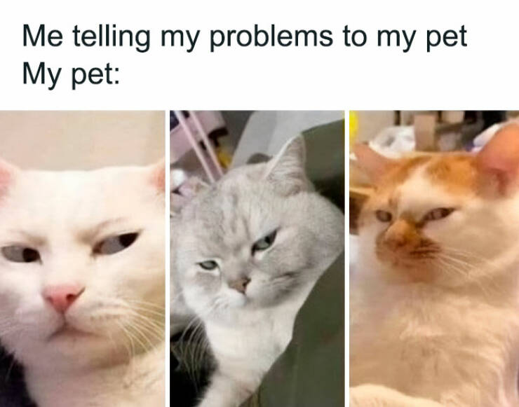 Hilarious Introvert Memes That Are Too Relatable