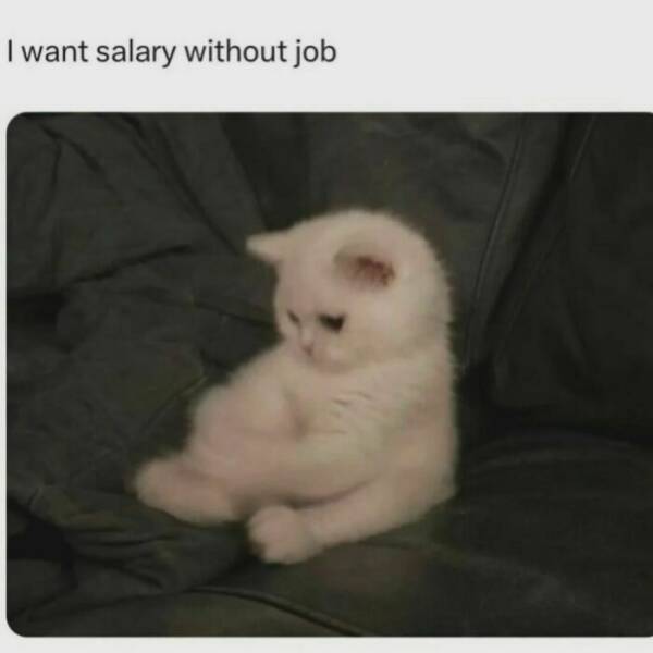 Hilarious Introvert Memes That Are Too Relatable