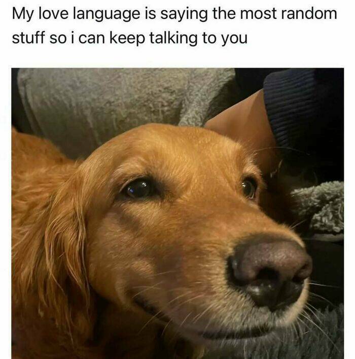 Hilarious Introvert Memes That Are Too Relatable