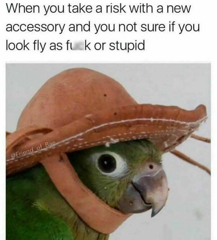 Hilarious Introvert Memes That Are Too Relatable