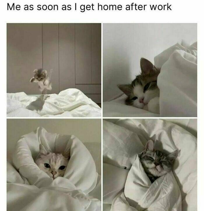 Hilarious Introvert Memes That Are Too Relatable