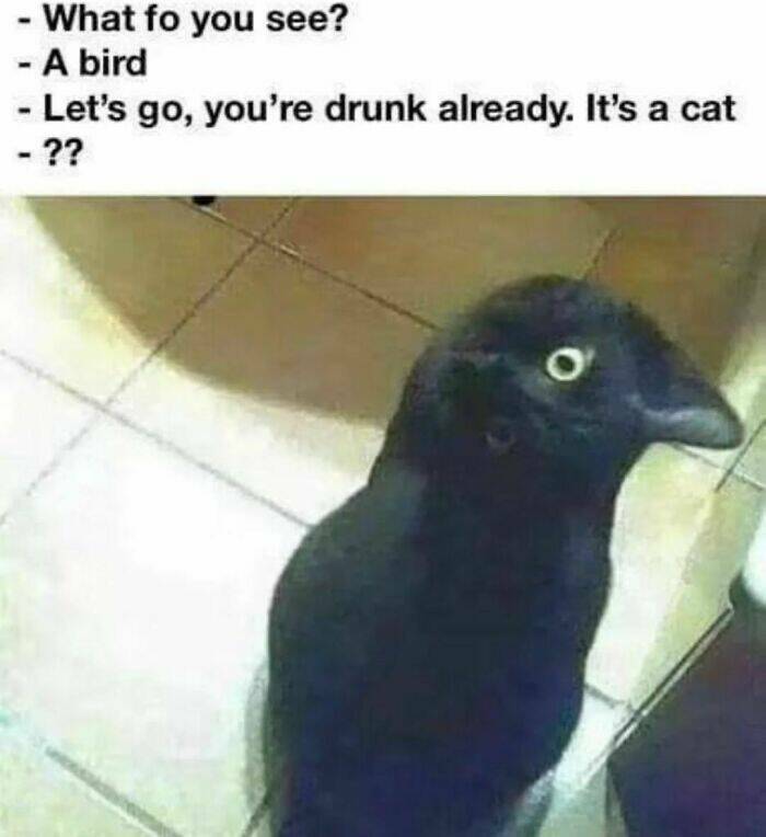 Hilarious Introvert Memes That Are Too Relatable