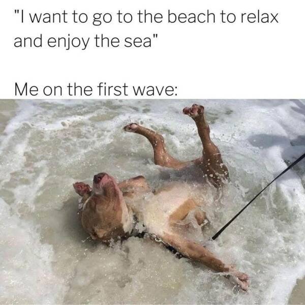 The Truth Hurts… But at Least It’s Hilarious