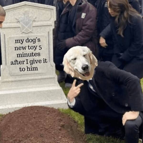 The Truth Hurts… But at Least It’s Hilarious