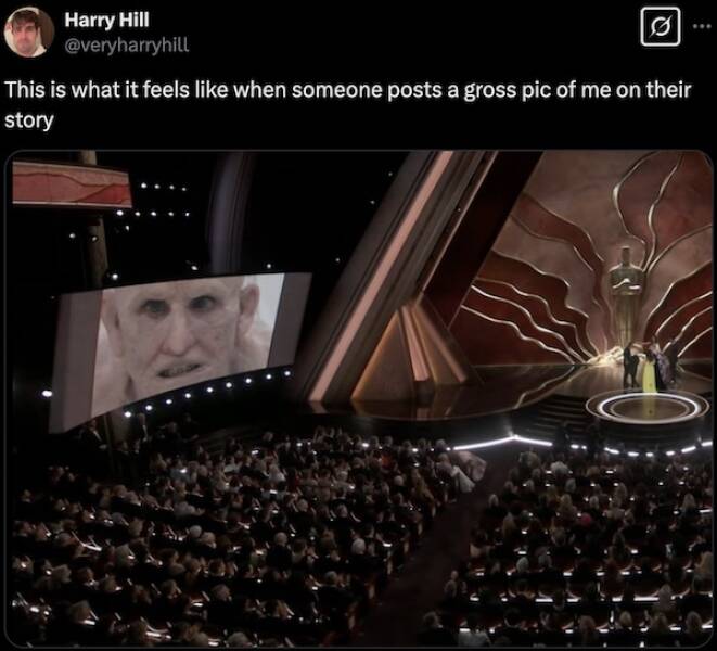 The Truth Hurts… But at Least It’s Hilarious