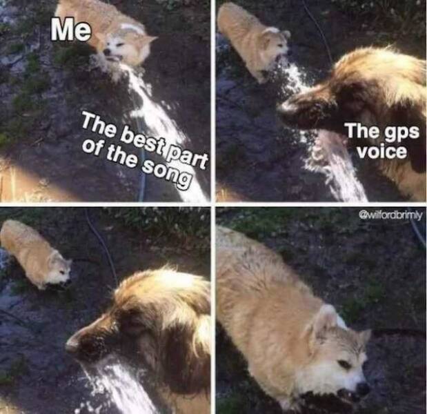 The Truth Hurts… But at Least It’s Hilarious