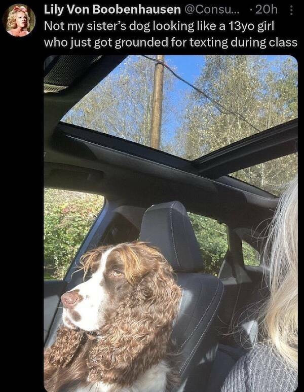 The Truth Hurts… But at Least It’s Hilarious