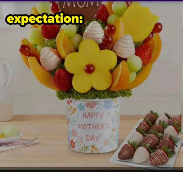 When Expectations Meet Reality… And Lose Miserably