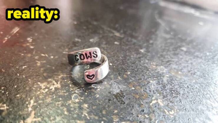 When Expectations Meet Reality… And Lose Miserably