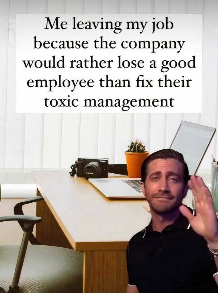 Adulting Is Hard, But These Hilarious Memes Make It Easier