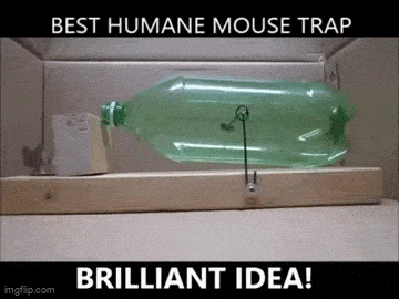 Daily Gifdump Daily Gifdump