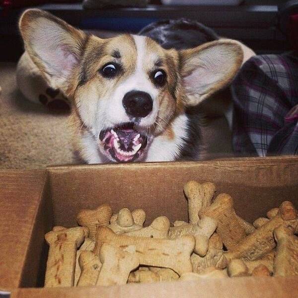 Life’s Too Short—Make Every Moment Count Life’s Too Short—Make Every Moment Count