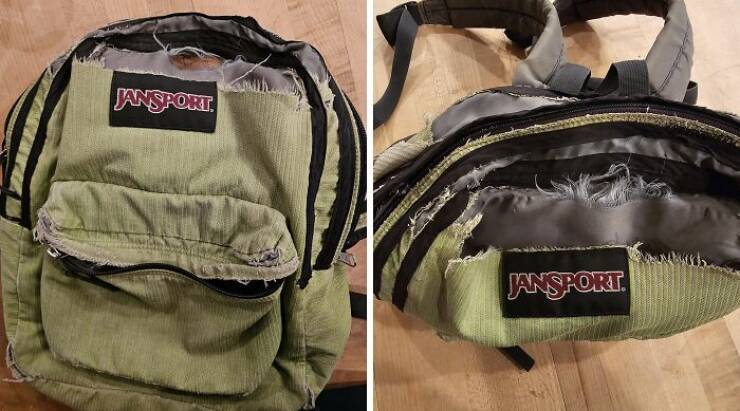 Time Leaves Its Mark On Everything