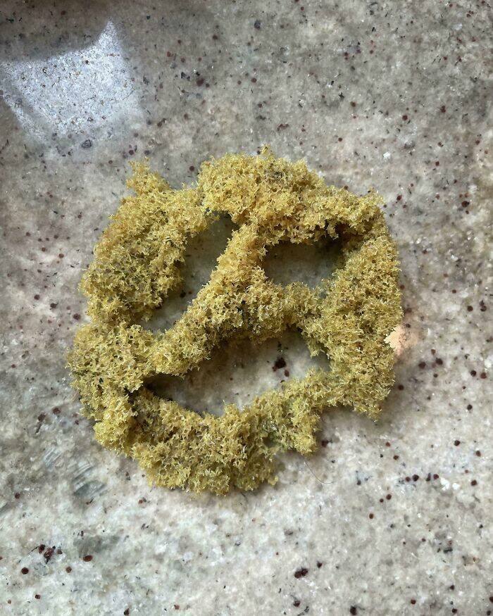 Time Leaves Its Mark On Everything