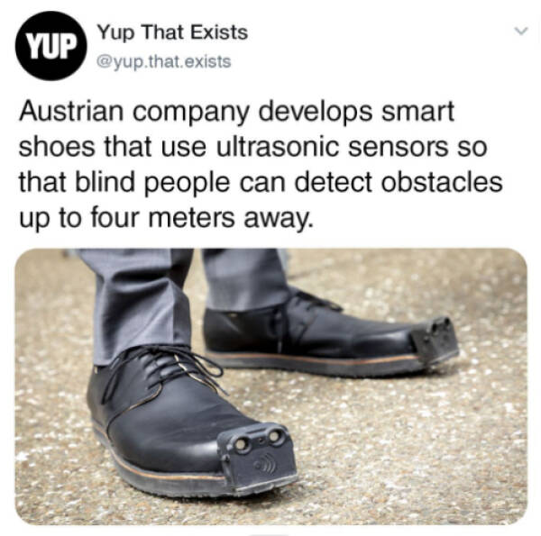 The Weirdest Things That Actually Exist