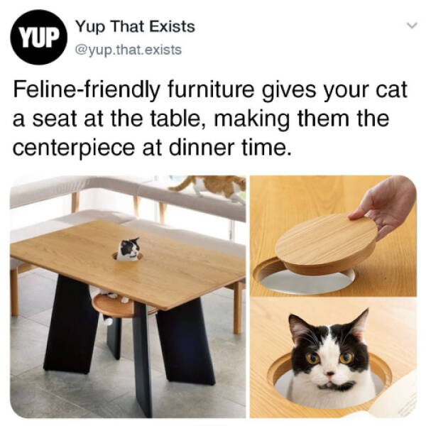 The Weirdest Things That Actually Exist