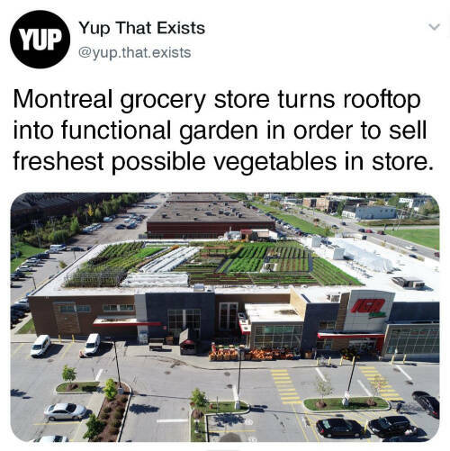 The Weirdest Things That Actually Exist