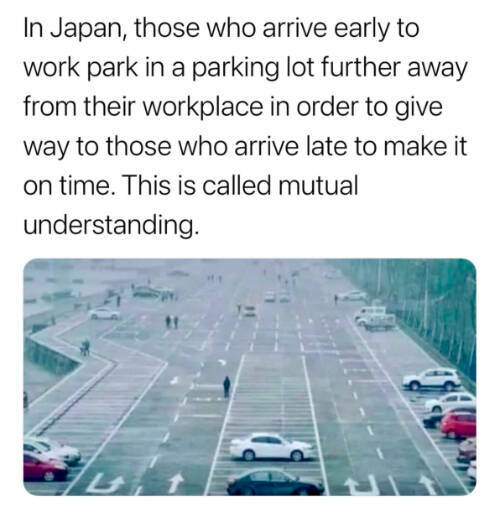 The Weirdest Things That Actually Exist