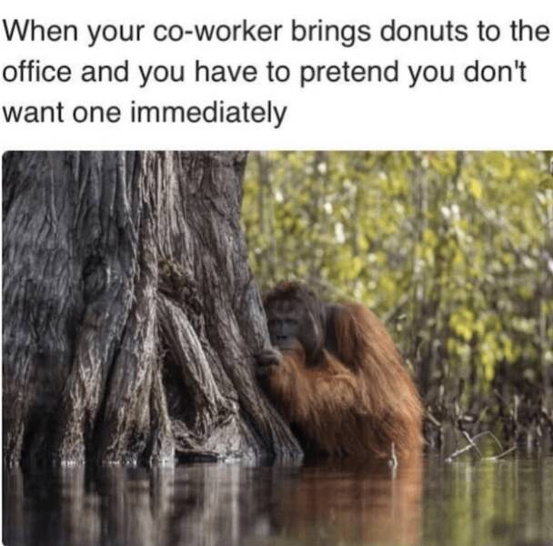 You Laugh, You Lose! Wanna Play? You Laugh, You Lose! Wanna Play?