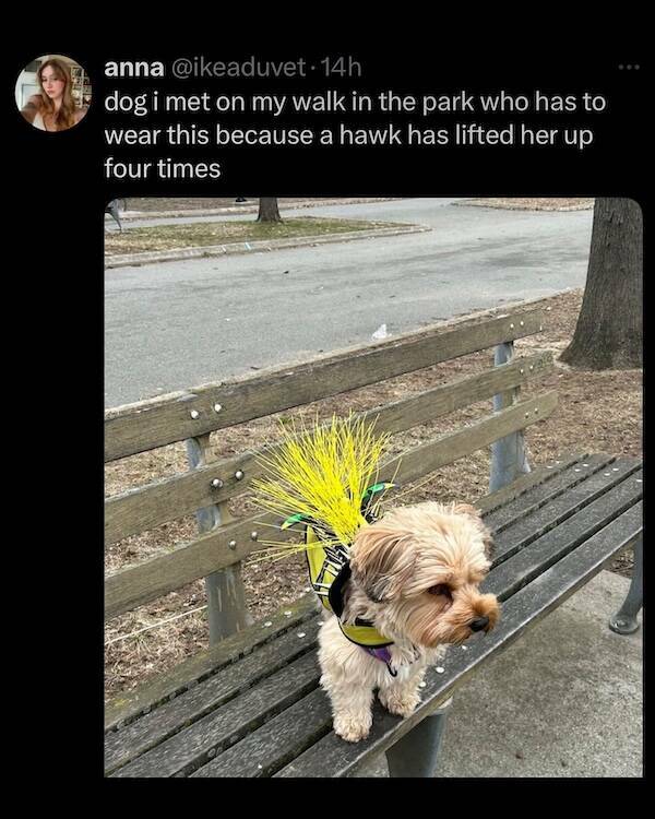 You Laugh, You Lose! Wanna Play? You Laugh, You Lose! Wanna Play?