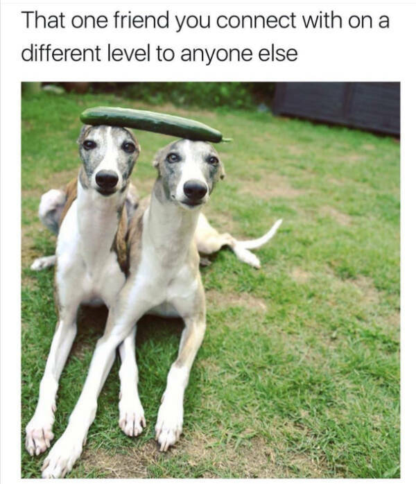 You Laugh, You Lose! Wanna Play?