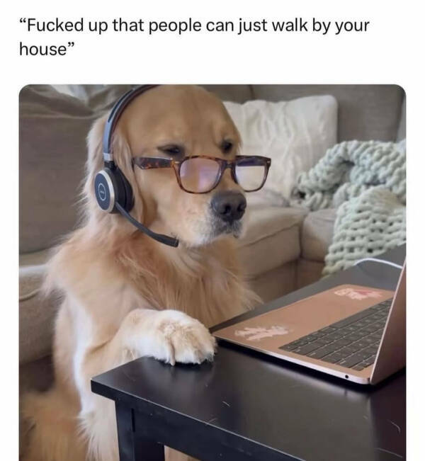 You Laugh, You Lose! Wanna Play?