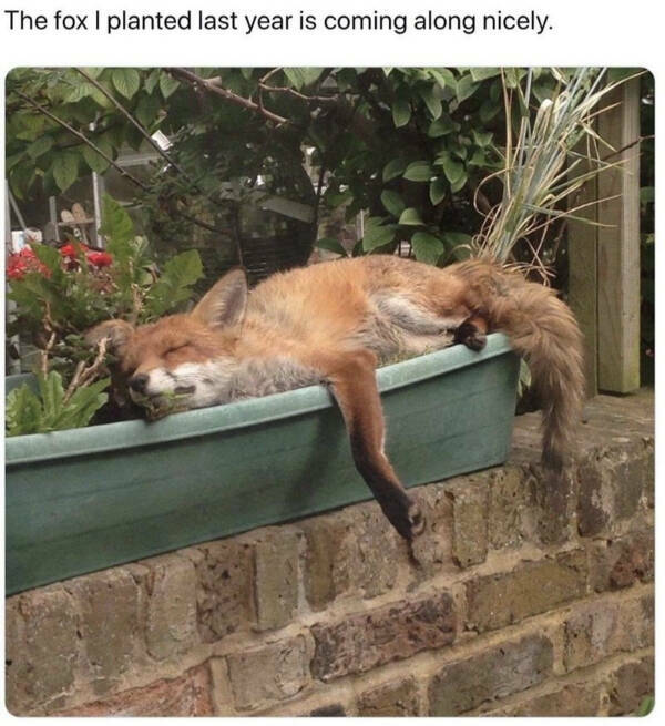 You Laugh, You Lose! Wanna Play?