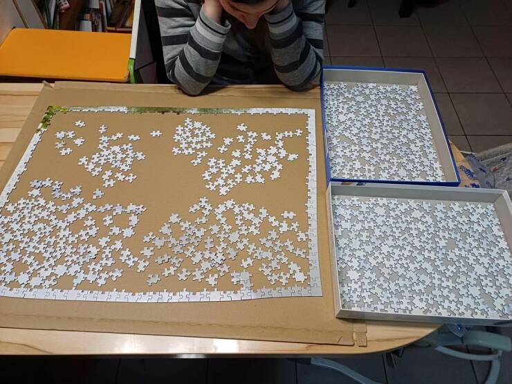 Daily Picdump Daily Picdump