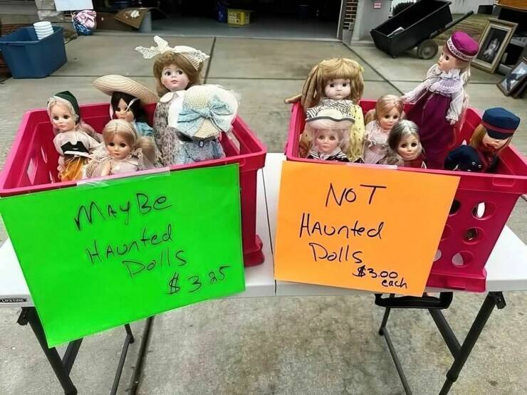 Daily Picdump Daily Picdump