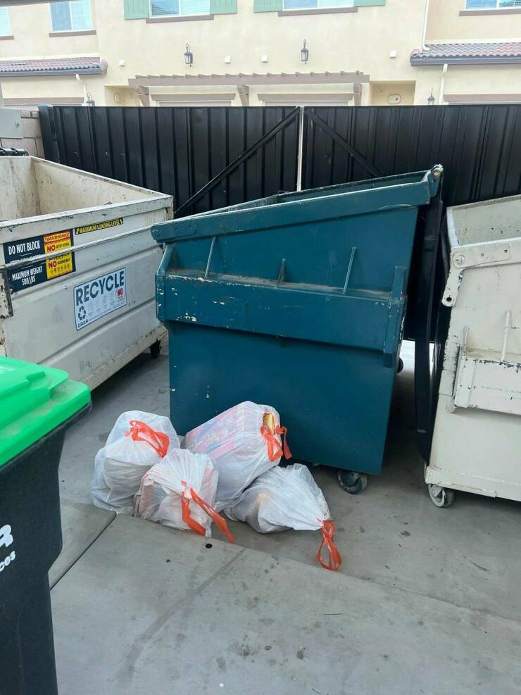 Daily Picdump Daily Picdump