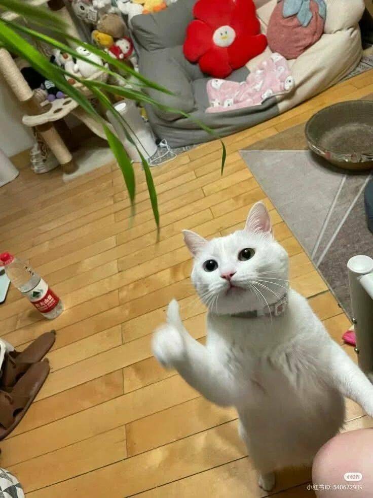 Daily Picdump Daily Picdump