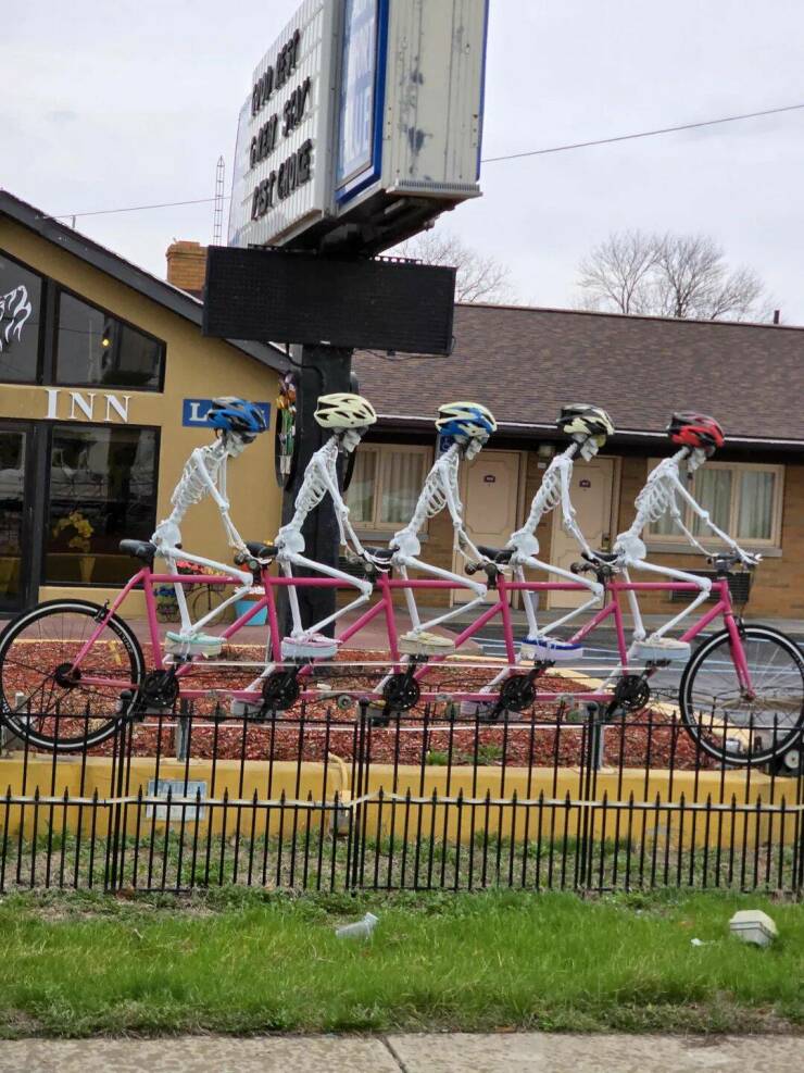 Daily Picdump [WEEKEND EDITION]