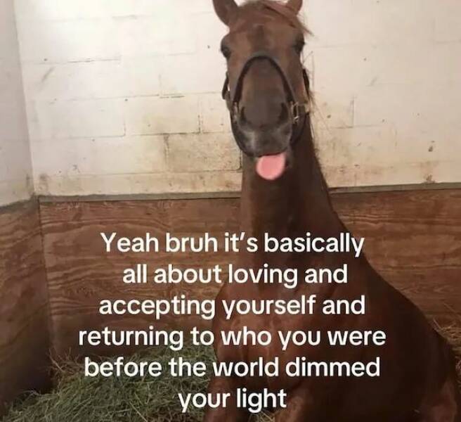 Feel-Good Memes And Pics To Lift Your Spirits Feel-Good Memes And Pics To Lift Your Spirits