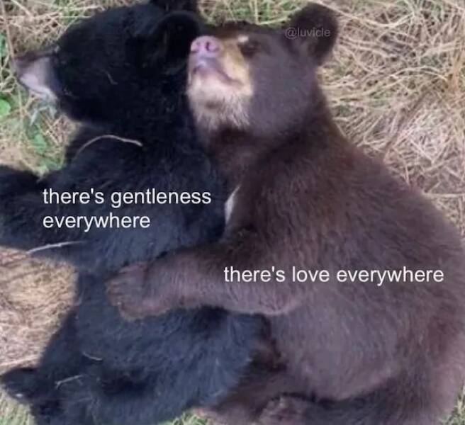 Feel-Good Memes And Pics To Lift Your Spirits Feel-Good Memes And Pics To Lift Your Spirits