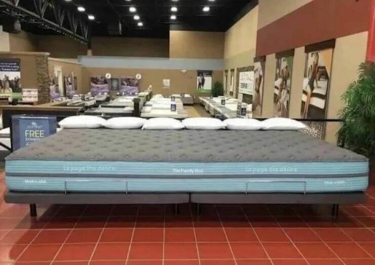 We’re Not Alone… The Giants Are Here! We’re Not Alone… The Giants Are Here!