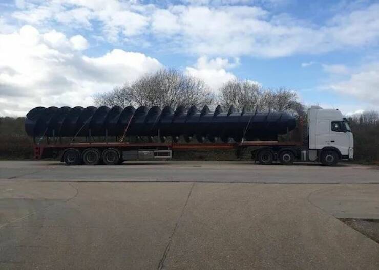 We’re Not Alone… The Giants Are Here! We’re Not Alone… The Giants Are Here!