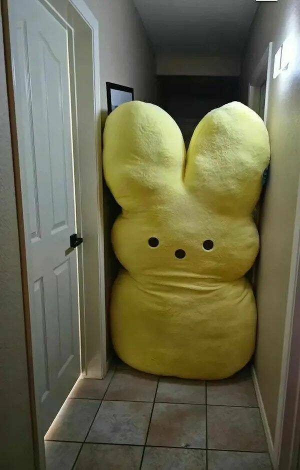 We’re Not Alone… The Giants Are Here! We’re Not Alone… The Giants Are Here!