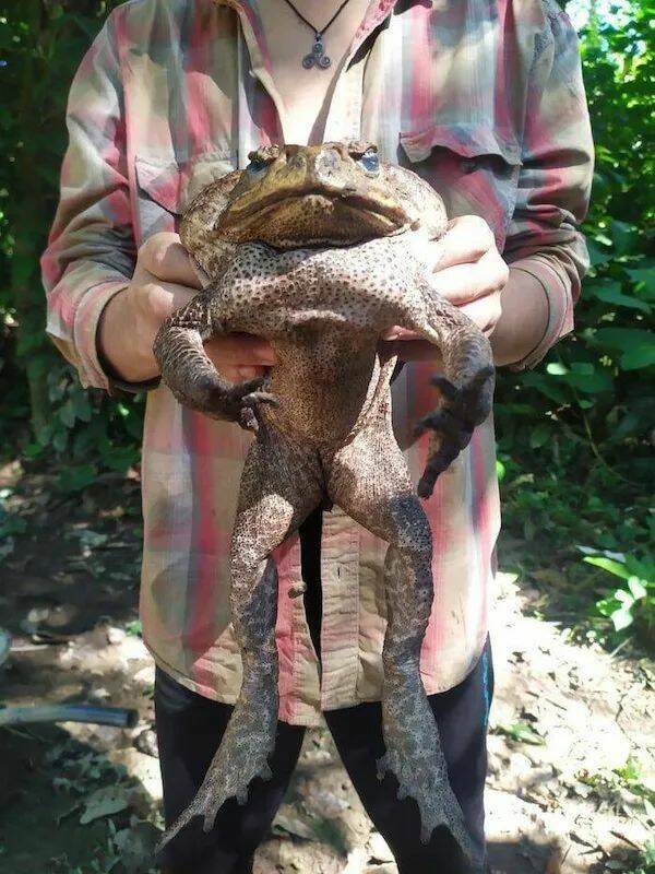 We’re Not Alone… The Giants Are Here! We’re Not Alone… The Giants Are Here!