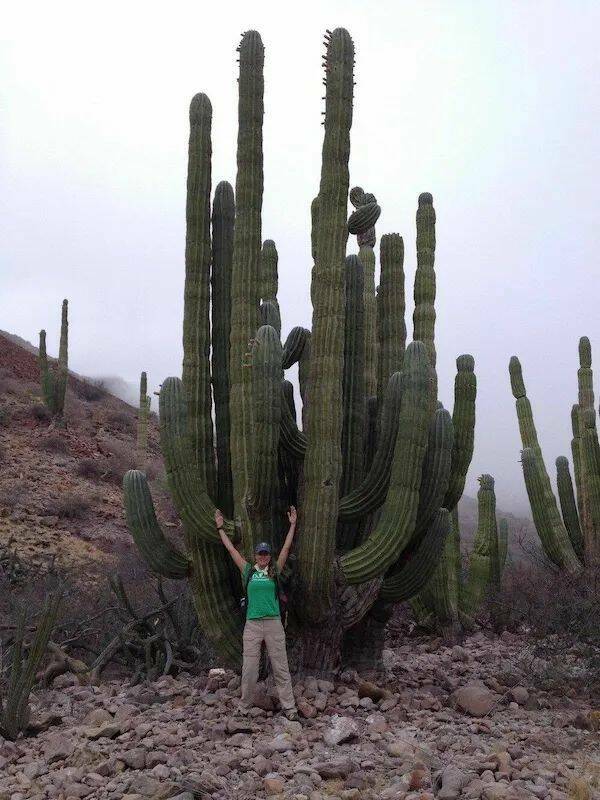 We’re Not Alone… The Giants Are Here! We’re Not Alone… The Giants Are Here!