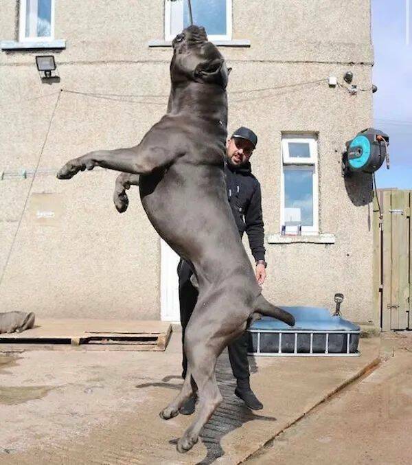 We’re Not Alone… The Giants Are Here! We’re Not Alone… The Giants Are Here!