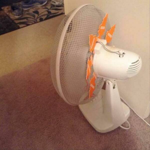 A Collection Of Random And Incredibly Cool Pics A Collection Of Random And Incredibly Cool Pics