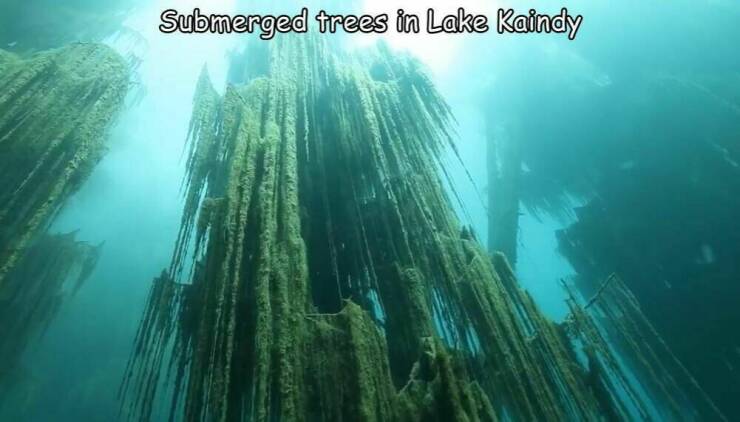 A Collection Of Random And Incredibly Cool Pics A Collection Of Random And Incredibly Cool Pics