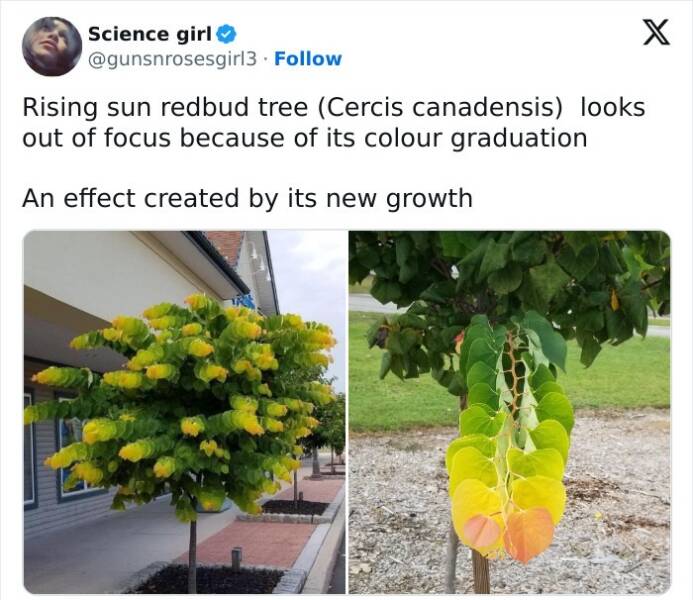 Heartwarming And Hilarious Posts To Brighten Your Day