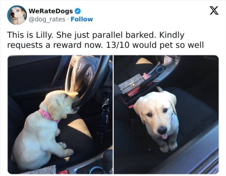 Heartwarming And Hilarious Posts To Brighten Your Day