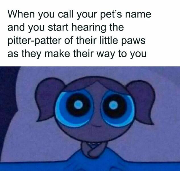 Hilarious Animal Photos Guaranteed To Make You Smile