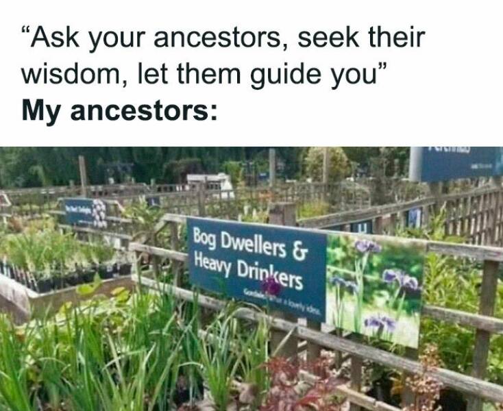 Hilarious Memes To Instantly Boost Your Mood