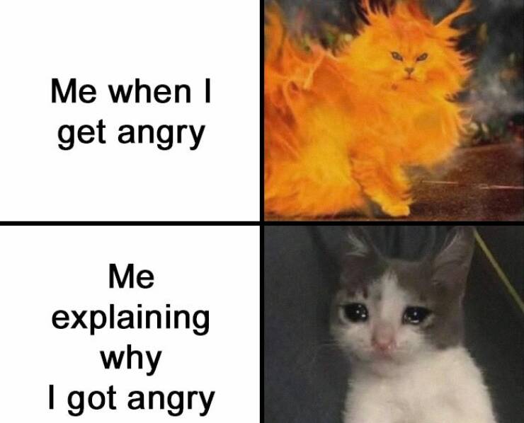 Hilarious Memes To Instantly Boost Your Mood